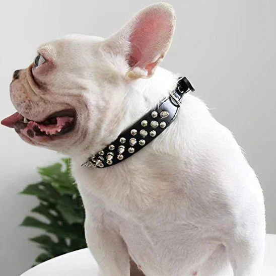Collier-chien-noir-WoofMetal