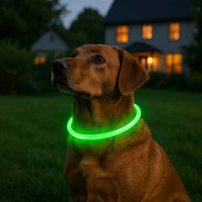 Collier-lumineux-chien-vert-FlashyPaw