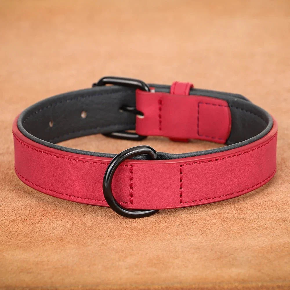 Collier-pour-chien-Rouge-confort-AlphaCuir