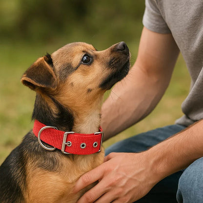 Collier pour chien rouge FlexLead