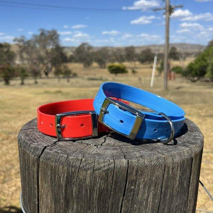 Collier pour chien resistant FluoPaw