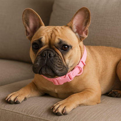 Collier-pour-chien-Rose-PawProof