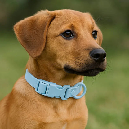 Collier-pour-chien-Bleu-PawProof