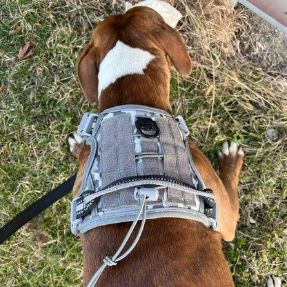 Harnais-anti-traction-chien-Gris-FortiDog