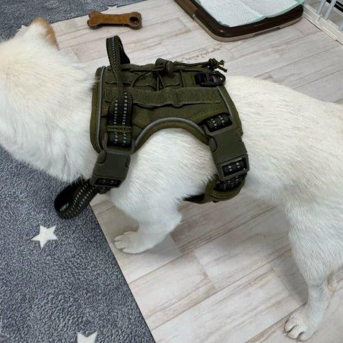 Harnais-anti-traction-chien-Vert-arme-FortiDog