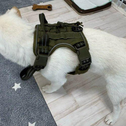 Harnais-anti-traction-chien-Vert-arme-FortiDog