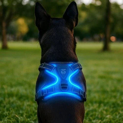 Harnais-anti-traction-chien-Bleu-GuardianGlow
