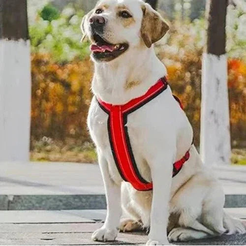 Harnais-anti-traction-chien-Rouge-ReflectSafe