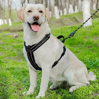 Harnais-anti-traction-chien-Noir-ReflectSafe