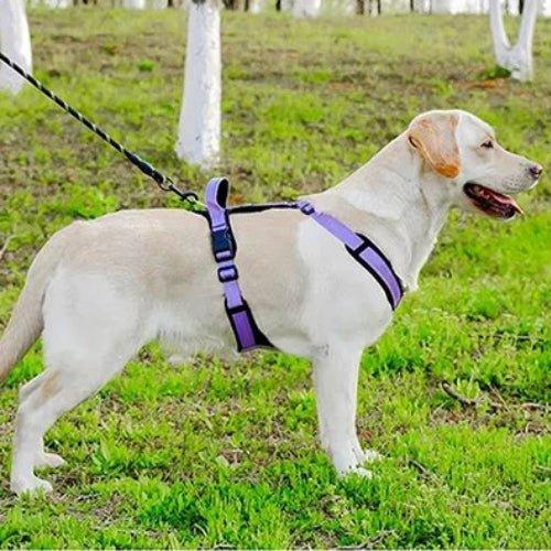 Harnais-anti-traction-chien-Violet-ReflectSafe