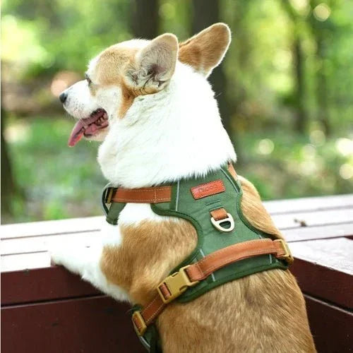 Harnais-chien-anti-traction-Vert-arme-AeroPattes