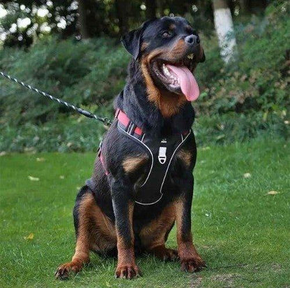 Harnais-chien-anti-traction-Promenade-OutdoorPaw