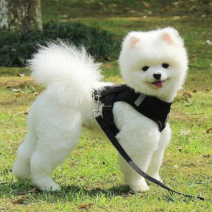 Harnais-chien-Marche-ConfortPup