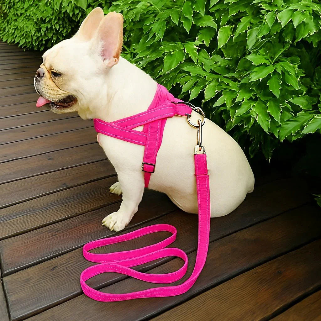 Harnais-pour-chien-Rose-CaniGrip