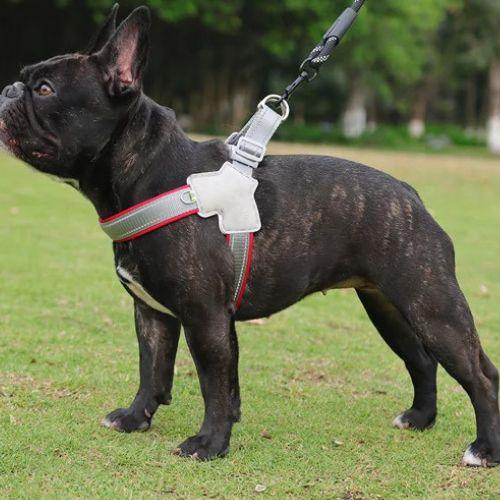 Harnais-pour-chien-Rouge-DogRider