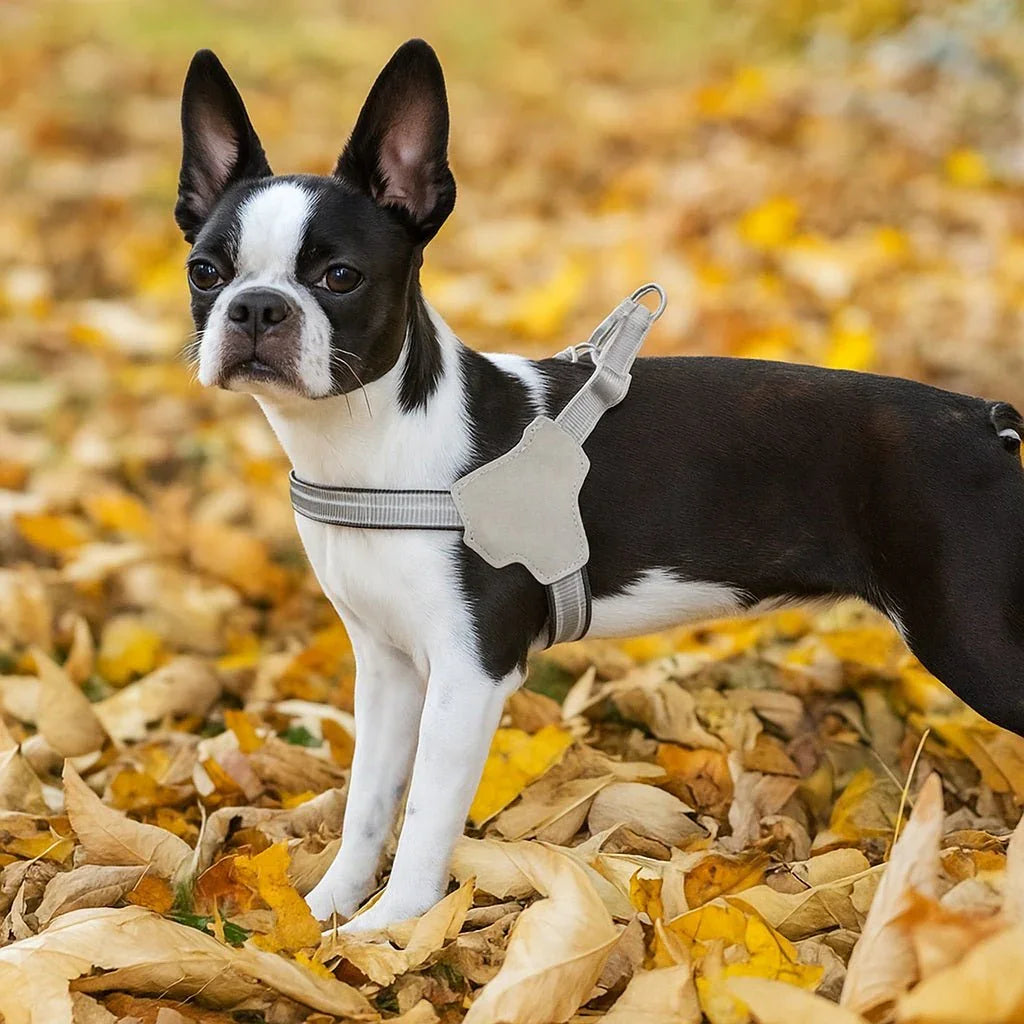 Harnais-pour-chien-Confort-DogRider