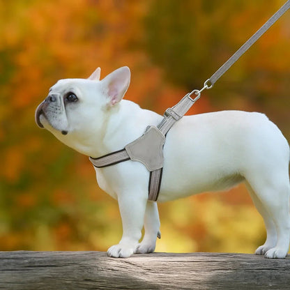 Harnais-pour-chien-Plaisir-DogRider