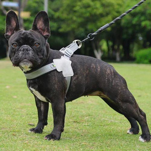 Harnais-pour-chien-Noir-DogRider