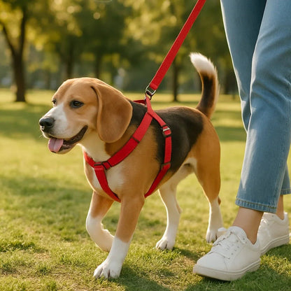 Harnais-pour-chien-Rouge-TaskHound