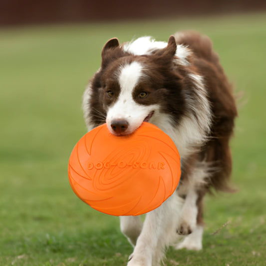 Jouet-chien-exterieur-AeroDisc