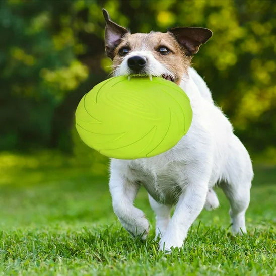 Jouet-chien-plaisir-AeroDisc