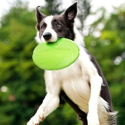 Jouet-chien-sortie-AeroDisc