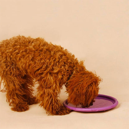 Jouet-chien-utile-AeroDisc