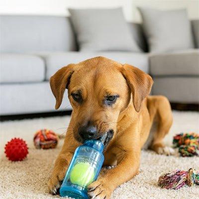 Jouet-pour-chien-Resistant-BottleBall