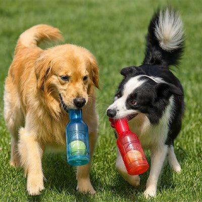 Jouet-pour-chien-Plaisir-BottleBall