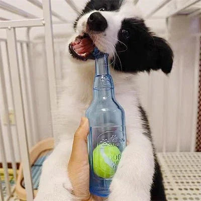 Jouet-pour-chien-Agreable-BottleBall