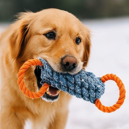 Jouet-pour-chien-Durable-PowerRope