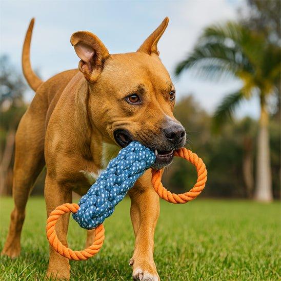 Jouet-pour-chien-Securite-PowerRope