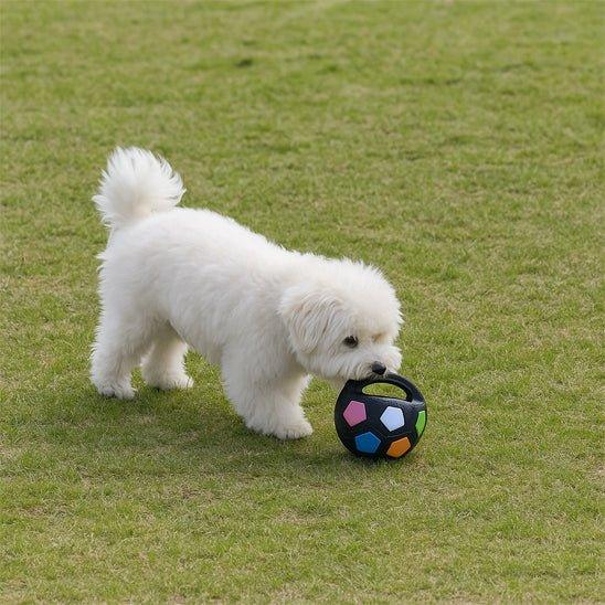 Jouet-pour-chien-Solide-WoofBall