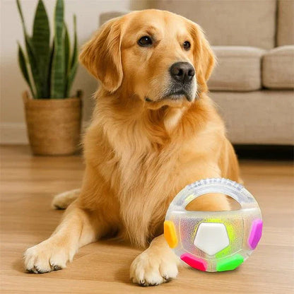 Jouet-pour-chien-Qualite-WoofBall