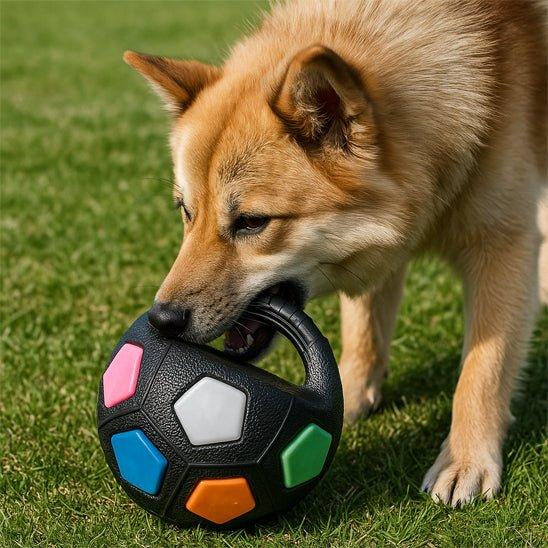Jouet-pour-chien-Plaisir-WoofBall