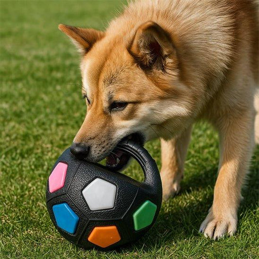 Jouet-pour-chien-Plaisir-WoofBall