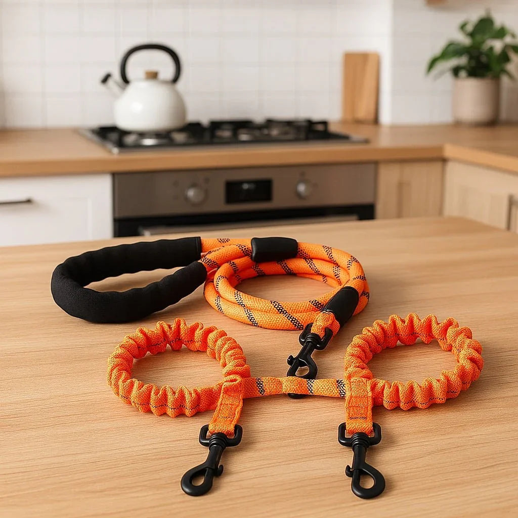 Laisse-chien-Orange-MultiPattes