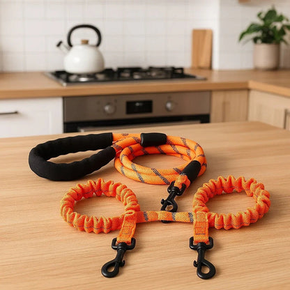 Laisse-chien-Orange-MultiPattes