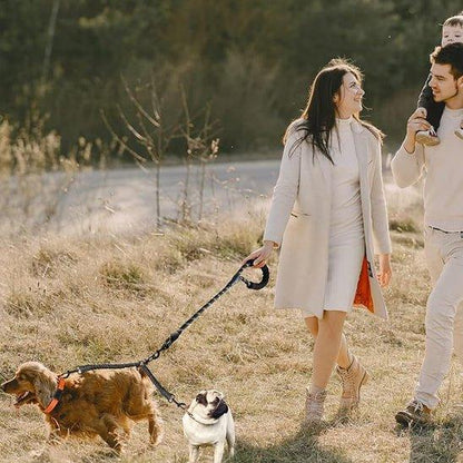 Laisse-chien-marche-MultiPattes