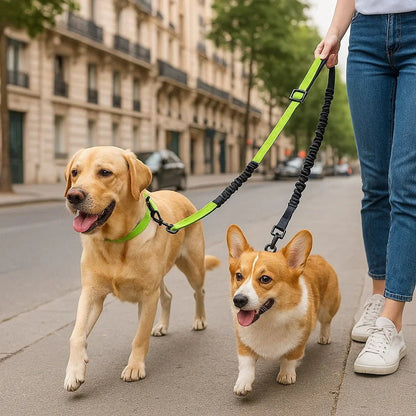 Laisse-chien-Vert-clair-TwiceWalk
