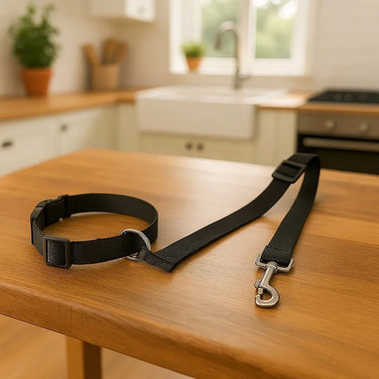 Laisse-chien-Noir-WoofBelt