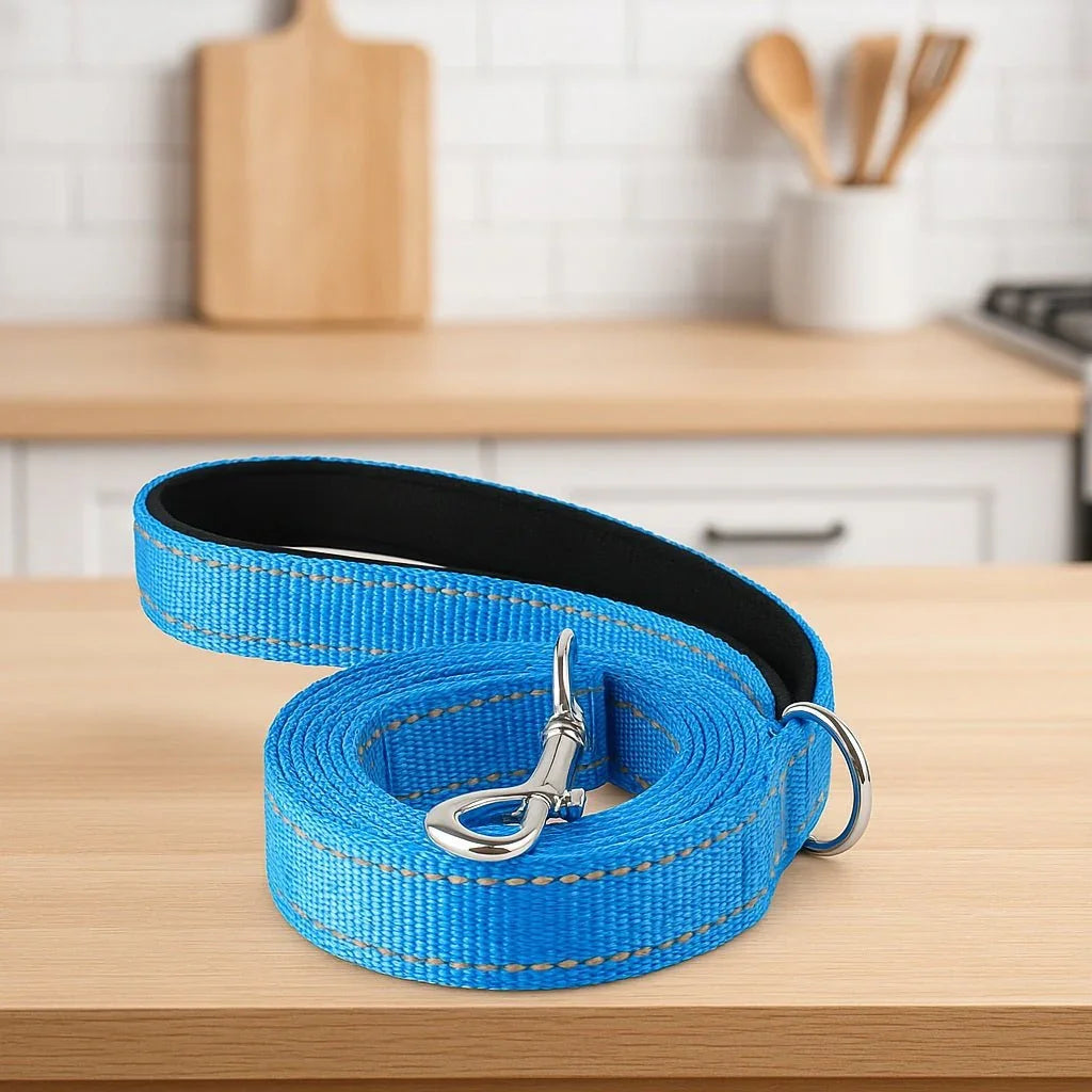 Laisse-chien-Bleu-WoofLine