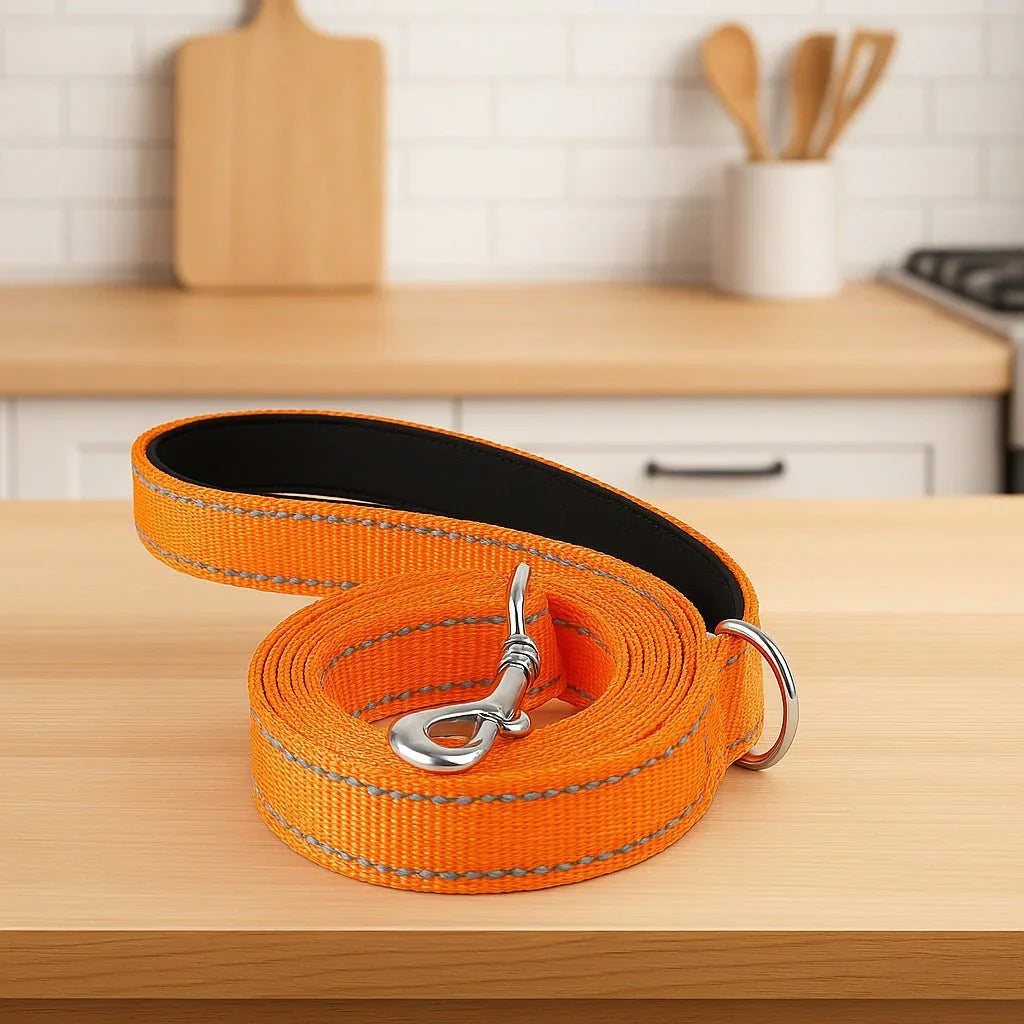 Laisse-chien-Orange-WoofLine