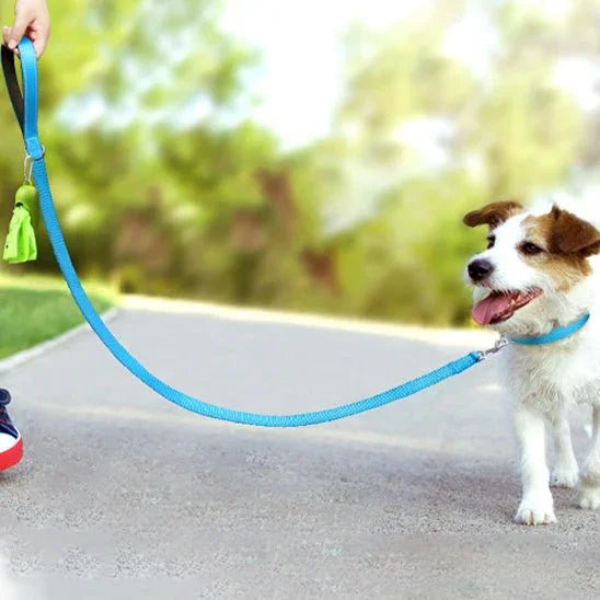 Laisse-chien-confort-WoofLine