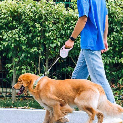 Laisse-pour-chien-plaisir-PawLine