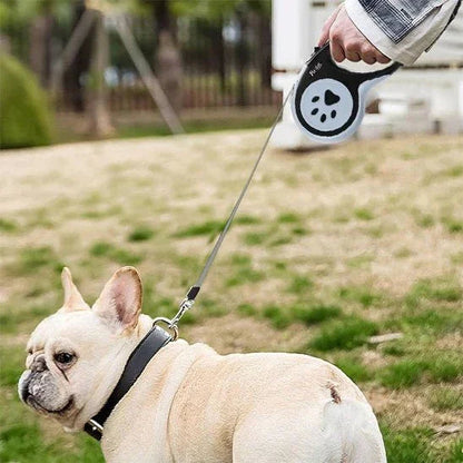 Laisse-pour-chien-style-PawLine