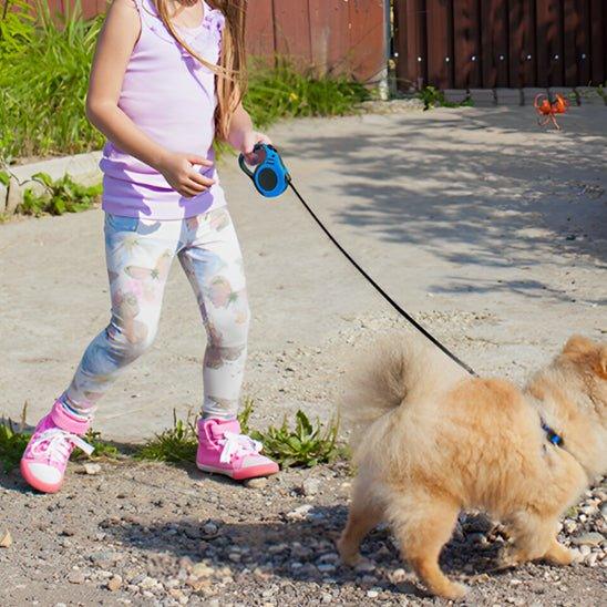 Laisse-pour-chien-marche-SnappyLeash