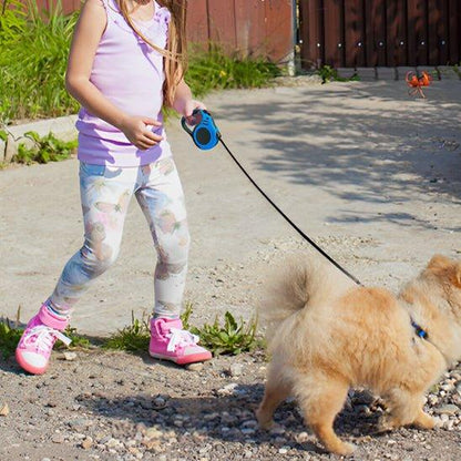 Laisse-pour-chien-marche-SnappyLeash