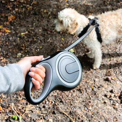 Laisse-pour-chien-style-WagSlide