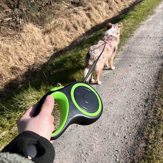 Laisse-pour-chien-promenade-WagSlide